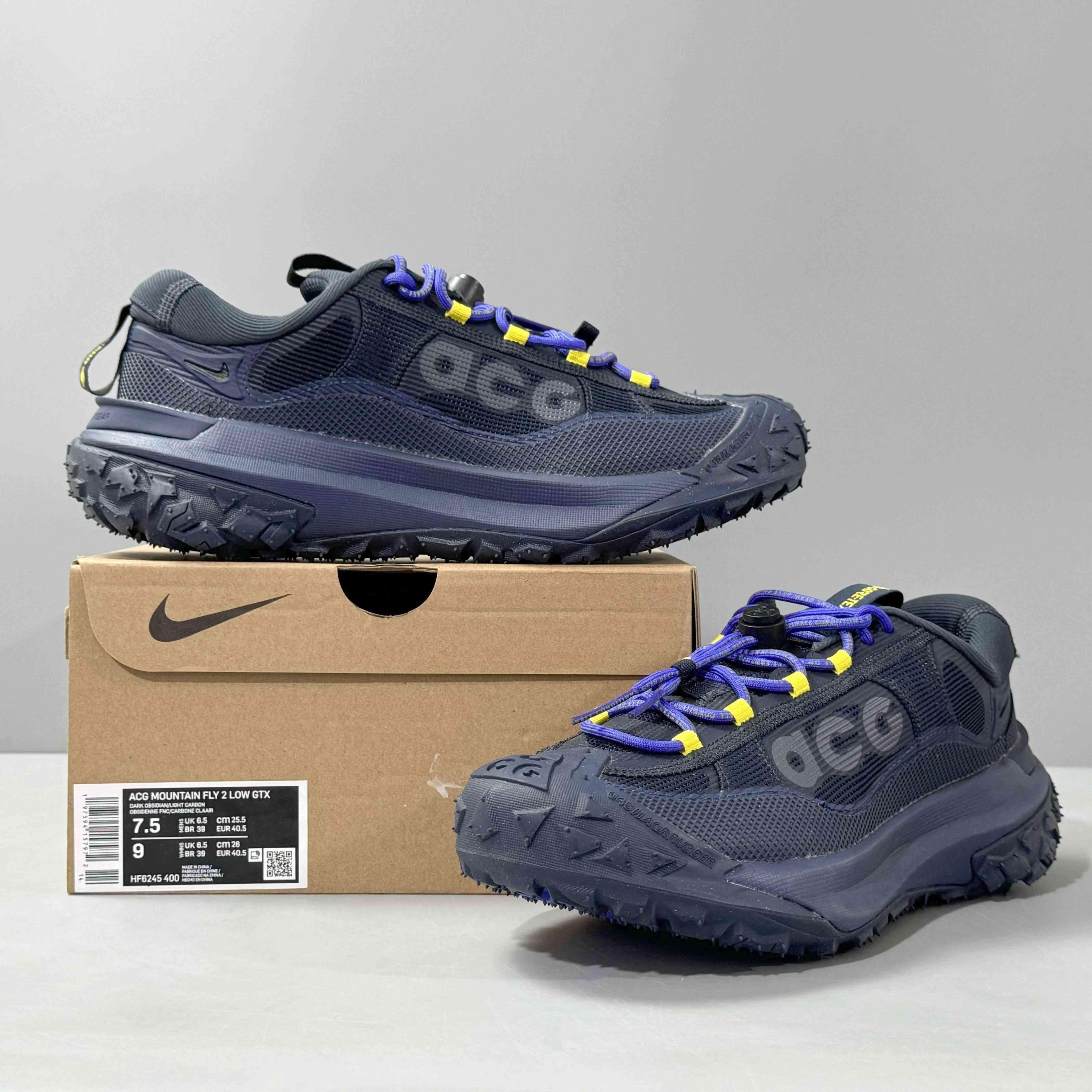 Nike ACG Mountain Fly 2 Low Gore-Tex 'Midnight Navy'