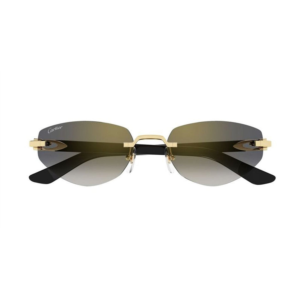 CARTIER Elegant Women's Fashion Sunglasses - CT0580S 001