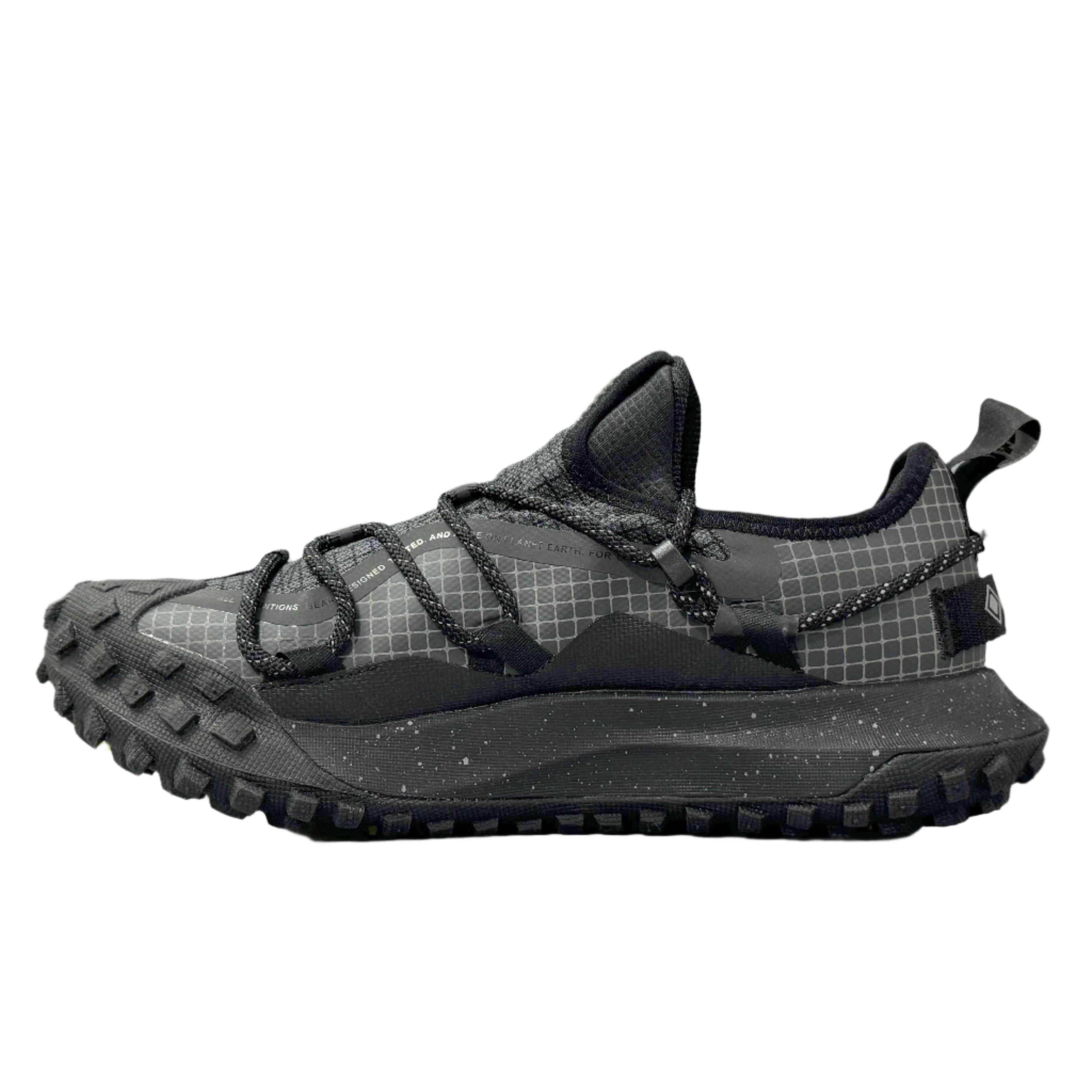 Nike ACG Mountain Fly 2 Gore-Tex SE 'Dark Smoke Grey'